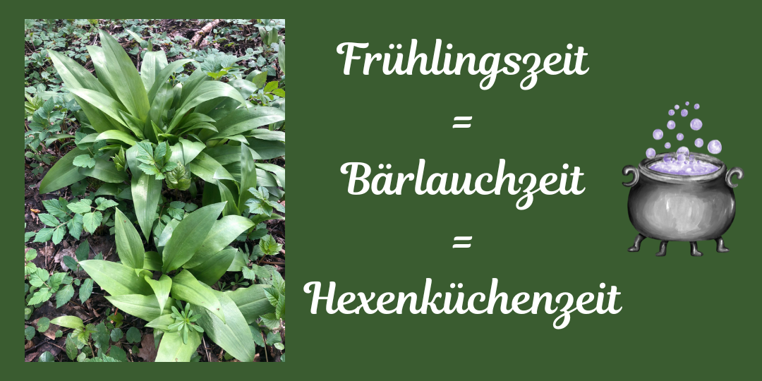 Bärlauch Salz