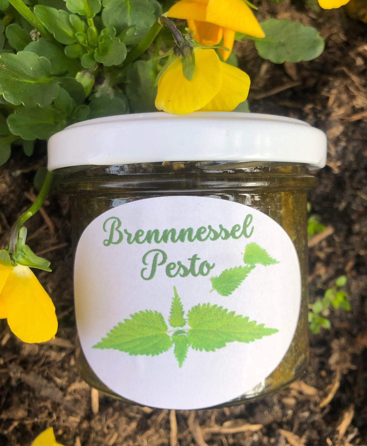 Brennnessel-Pesto